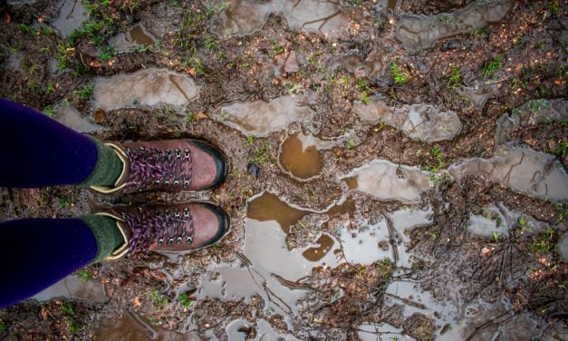 A Rain-soaked Adventure in the Boosmansbos Wilderness Area_web